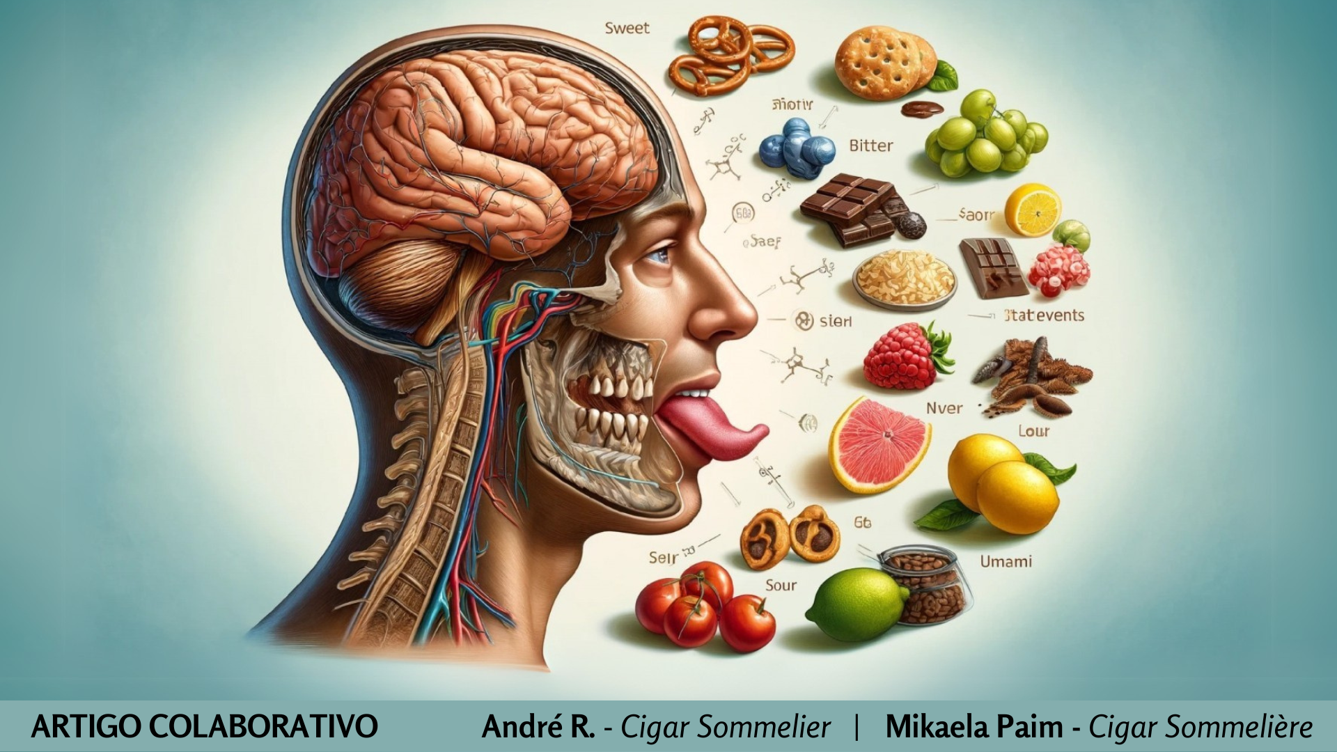 A percepção do cérebro humano ao ingerir alimentos e bebidas: Um olhar científico